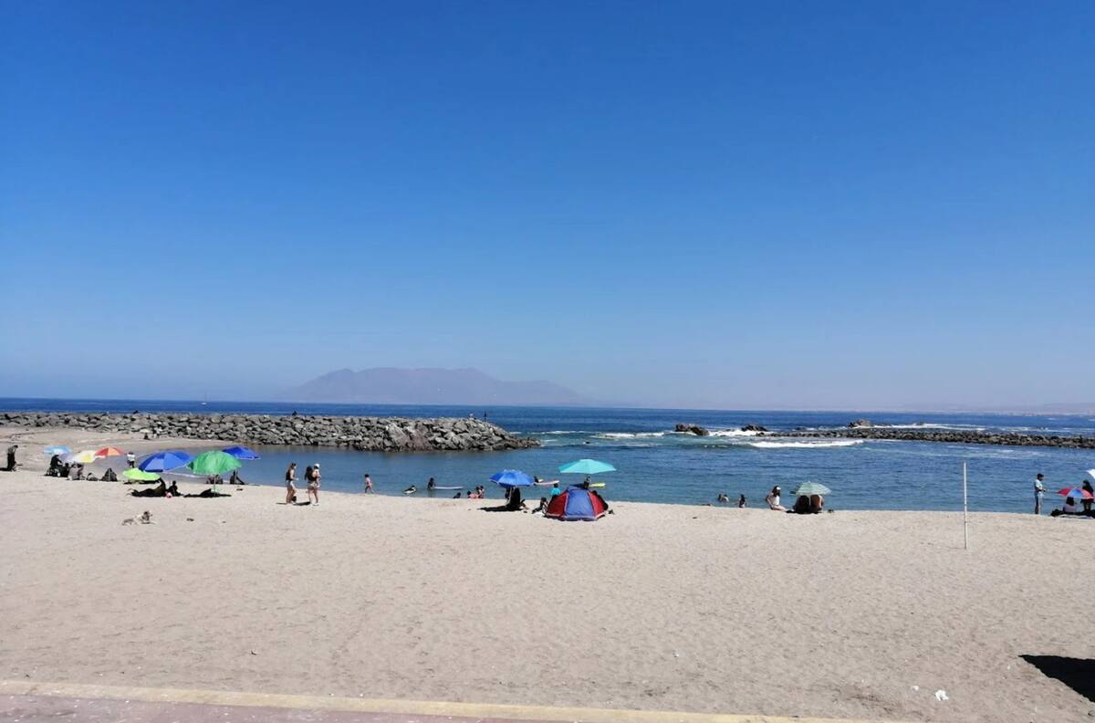 Nueve playas aptas para el baño en la Región de Antofagasta: Destacan por su agua cálida y arena blanca