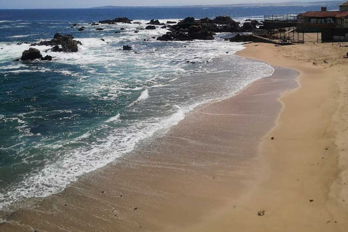 Ideal para visitar en familia, descansar y relajarse en primavera.
Créditos: Rutas Turísticas de Chile.