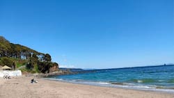 Perfectas para disfrutar del verano: Las playas aptas para el baño en la Región del Biobío