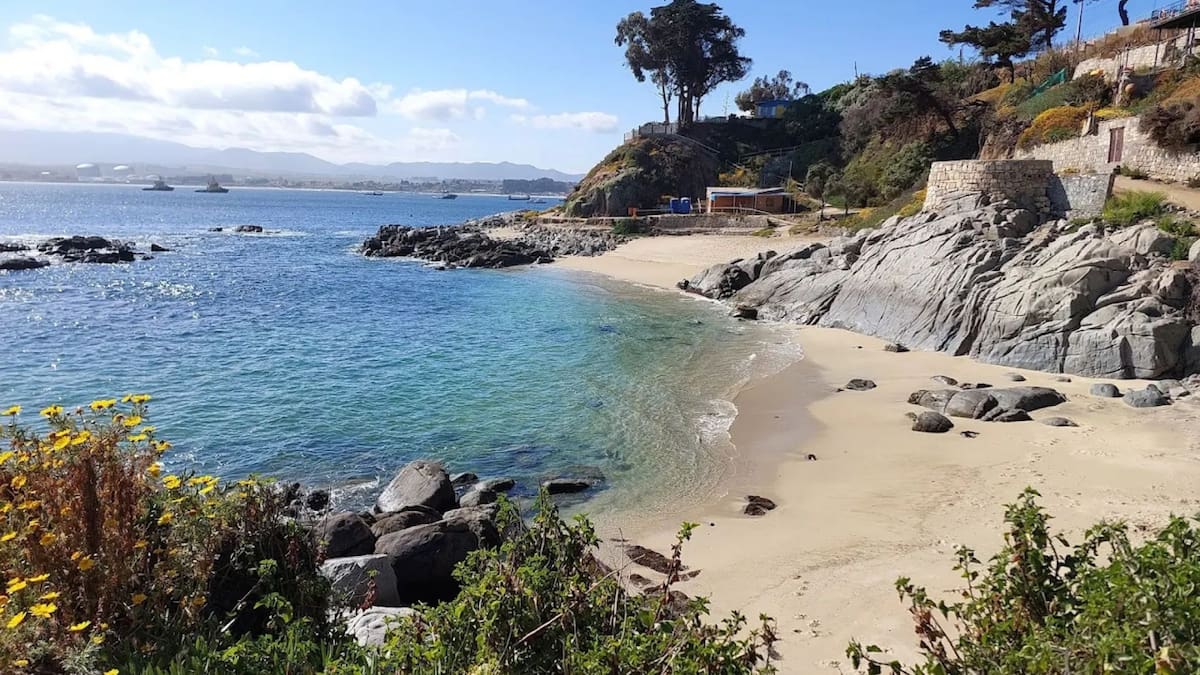 De aguas turquesas y arena suave: 5 playas aptas y seguras para el baño en Quintero