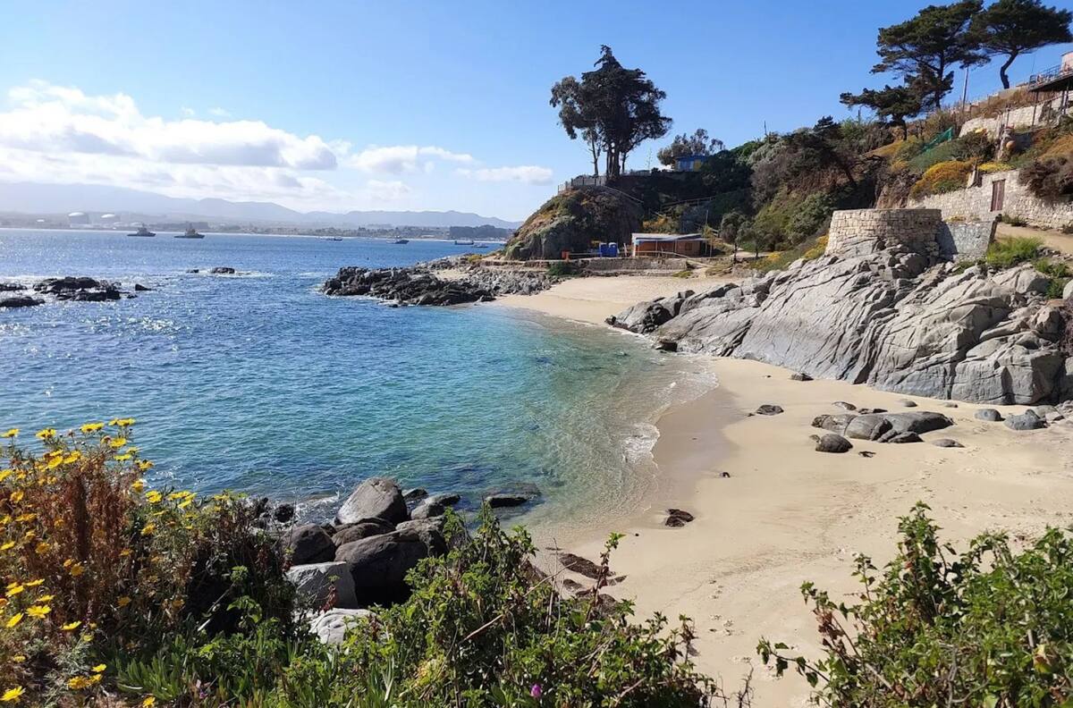 De aguas turquesas y arena suave: 5 playas aptas y seguras para el baño en Quintero