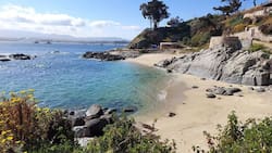 De aguas turquesas y arena suave: 5 playas aptas y seguras para el baño en Quintero