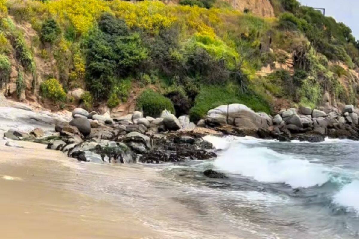 Esta es ideal para visitar en primavera.
Créditos: IG @franklinmgil.