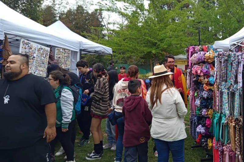 Los stands de tiendas y coleccionistas son un lugar ideal para hacer las últimas compras navideñas y sorprender a los fanáticos de la saga. Créditos: Potterfest de Navidad.