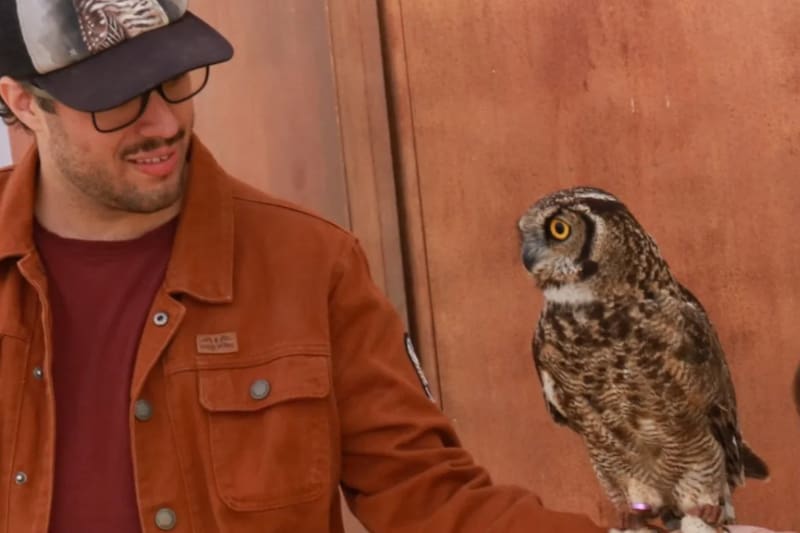 En el evento, podrás incluso conocer e interactuar con lechuzas de verdad. Créditos: Potterfest en Instagram.