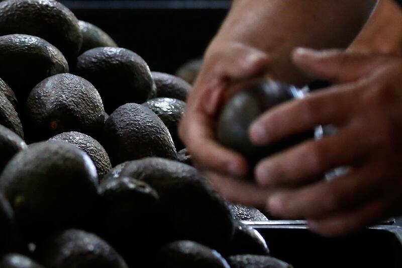 Las razones de su posible alza de precio por kilo. Créditos: ATON
