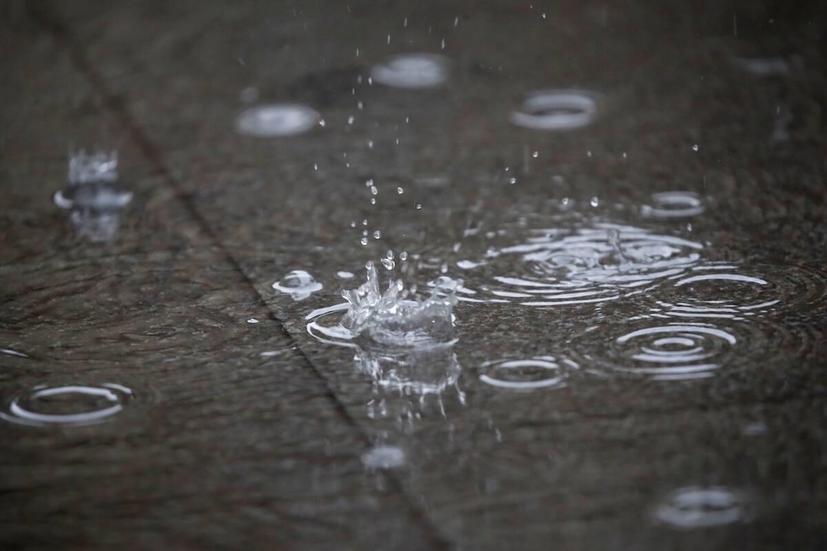Este fin de semana estará marcado por viento moderado y lluvia intensa en la zona central.