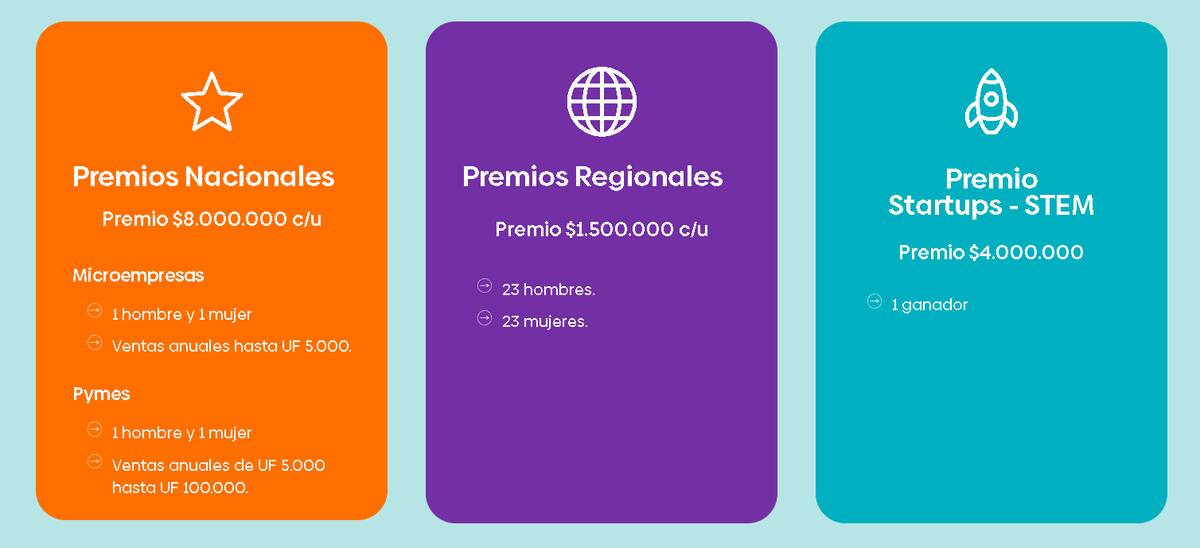 Premio Emprende de Banco Estado.
