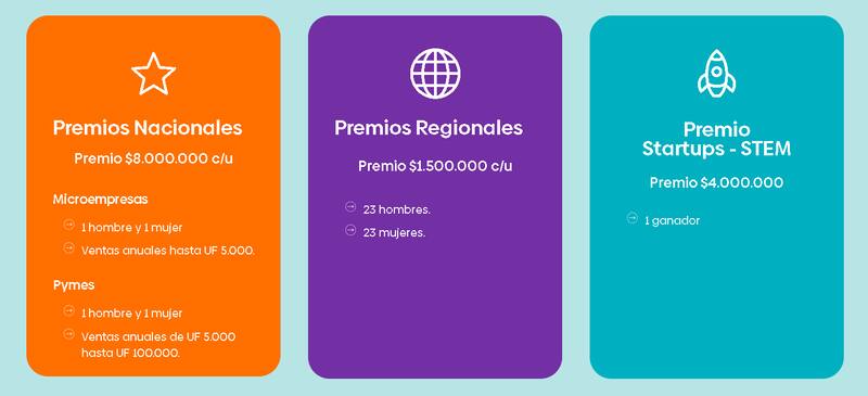 Premio Emprende de Banco Estado.