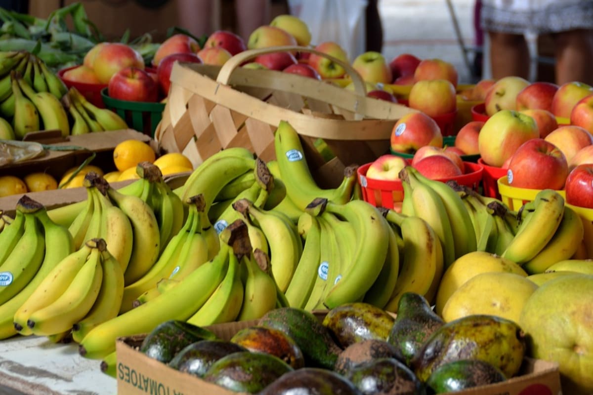 En frutas y verduras hay un antioxidante que estimula la regeneración de las neuronas.
