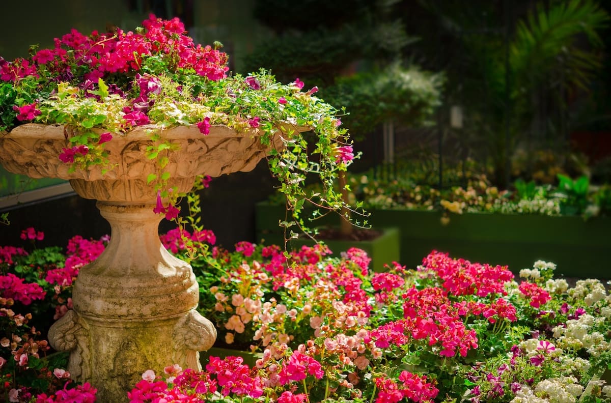 3 consejos domésticos prácticos para el cuidado y protección de tus plantas en primavera