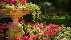 3 consejos domésticos prácticos para el cuidado y protección de tus plantas en primavera