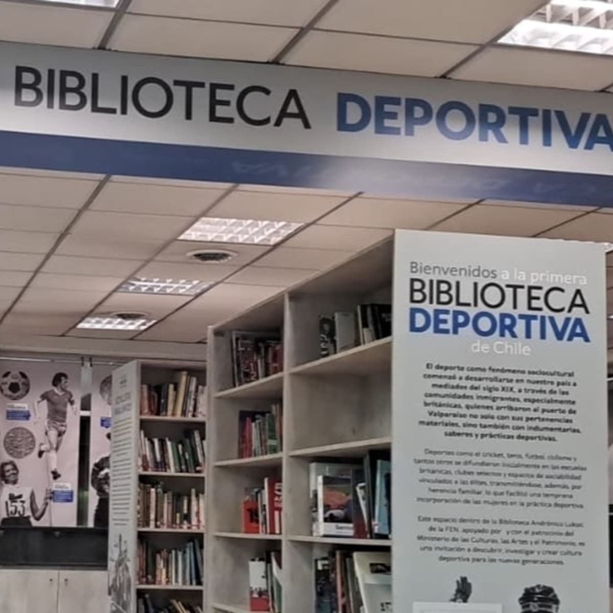 FEN y CEDEP inauguran la primera Biblioteca Deportiva Pública de Chile