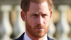 La razón por la que el príncipe Harry no podrá ejercer un cargo temporal en la monarquía británica