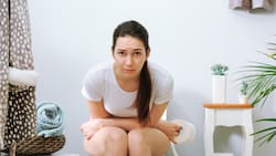 Este es el remedio natural que cura el estreñimiento según Harvard