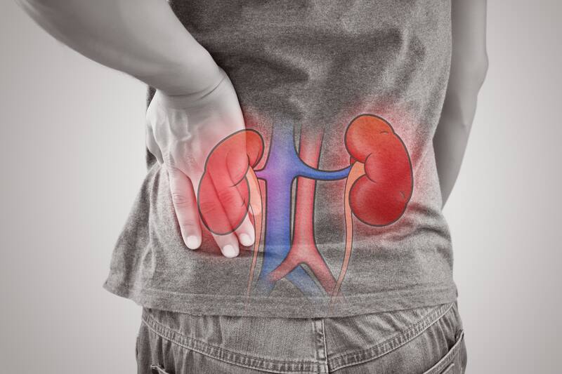 La alimentación es crucial en la salud renal.