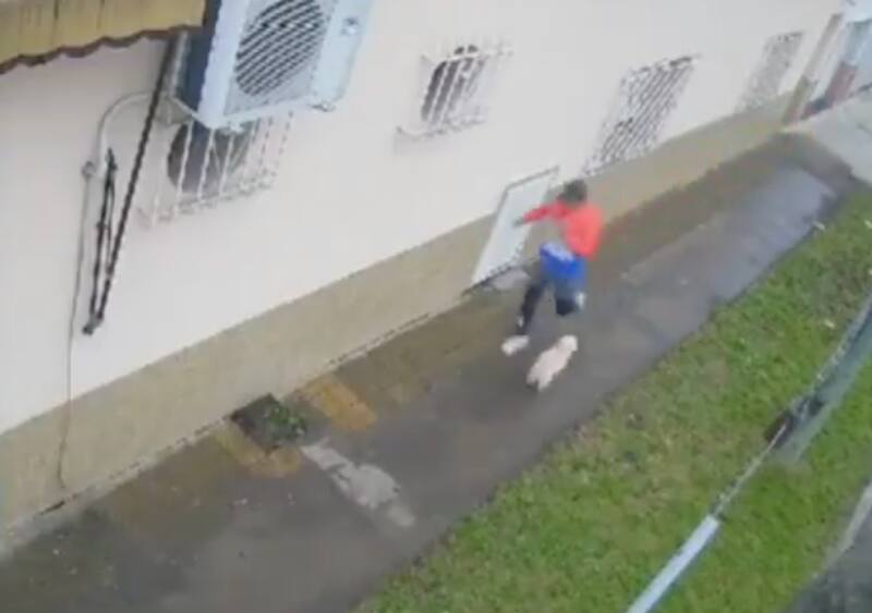 agredió brutalmente a cachorro de cinco meses.