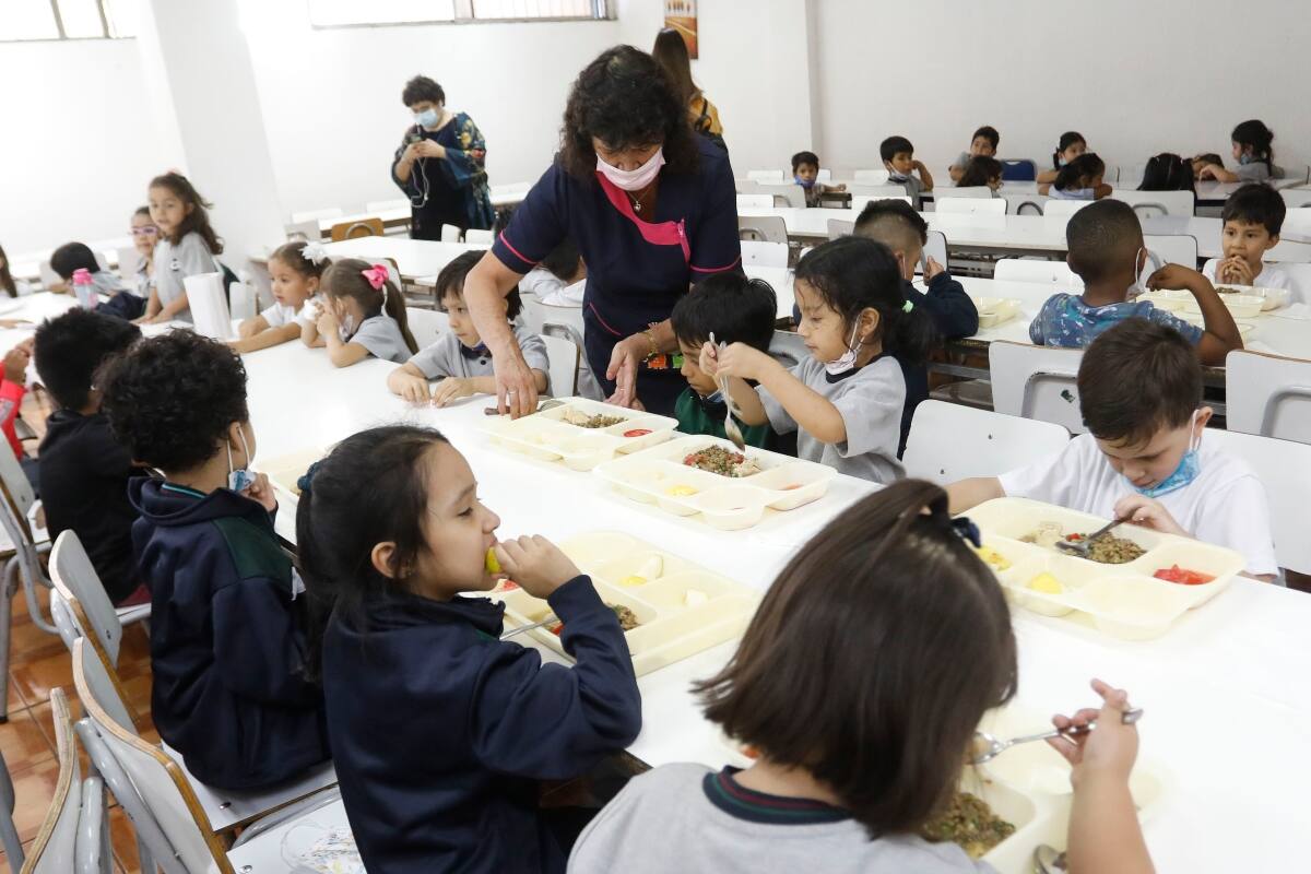 Conoce los detalles de la PAE.