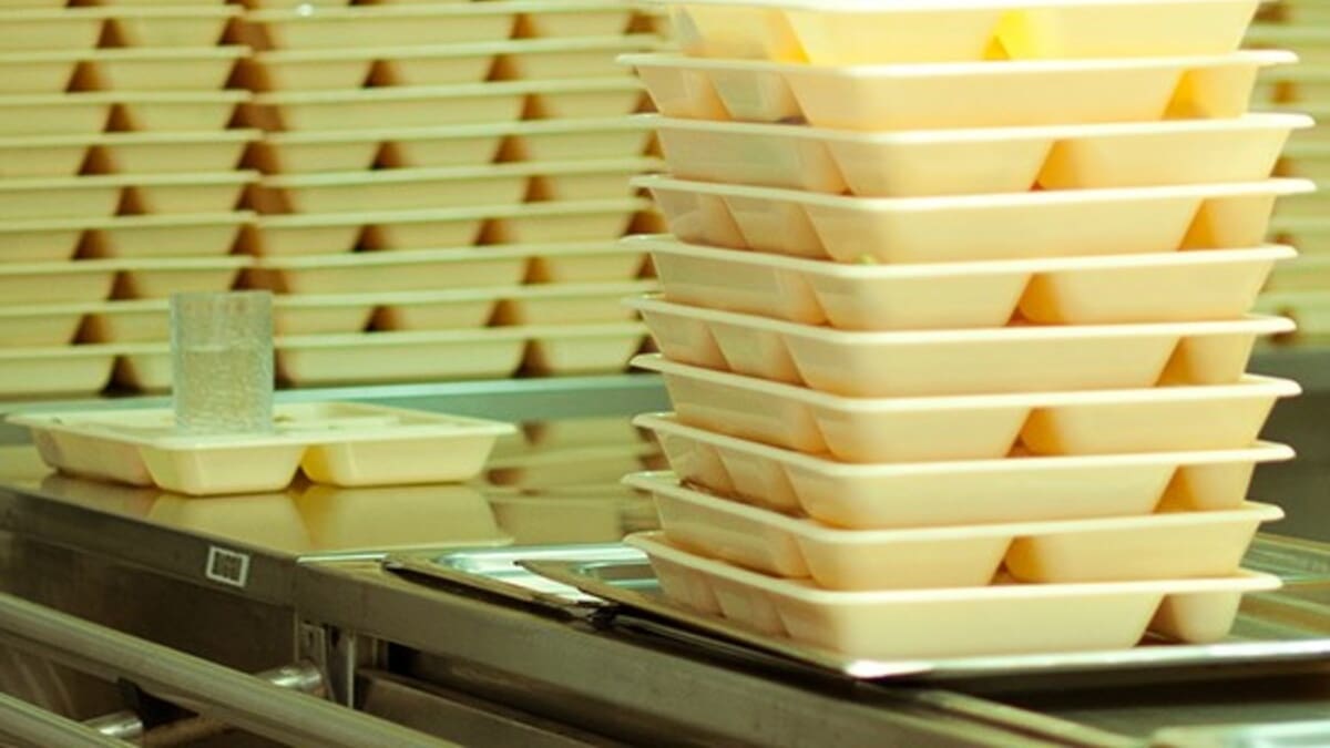 Programa de Alimentación Escolar: Conoce los requisitos que debes tener y cómo postular