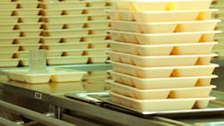 Programa de Alimentación Escolar: Conoce los requisitos que debes tener y cómo postular