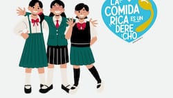 Programa de Alimentación Escolar (PAES): Revisa quiénes reciben este beneficio