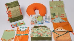 Programa de Apoyo al Recién Nacido: Descubre cómo acceder gratis a una cuna y distintos implementos para tu bebé