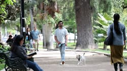 Pronóstico del tiempo para la RM: Así estará el clima en Santiago durante la última semana de octubre