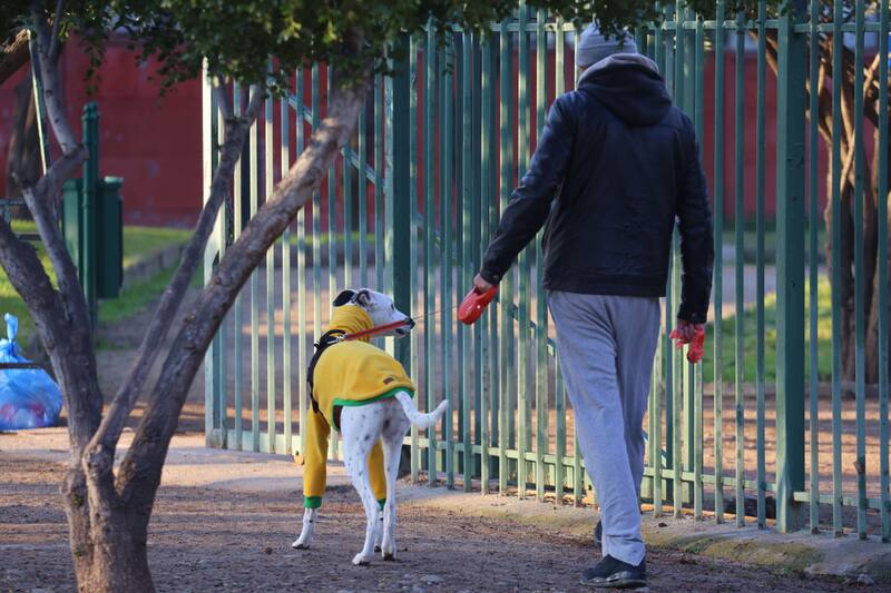 Las mínimas podrían llegar incluso a los -3° en algunas ciudades este jueves.