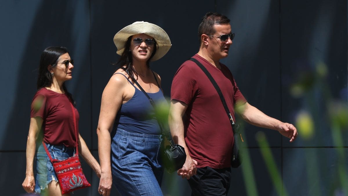 Máximas sobre los 30°C: Pronóstico del tiempo para la primera semana de diciembre