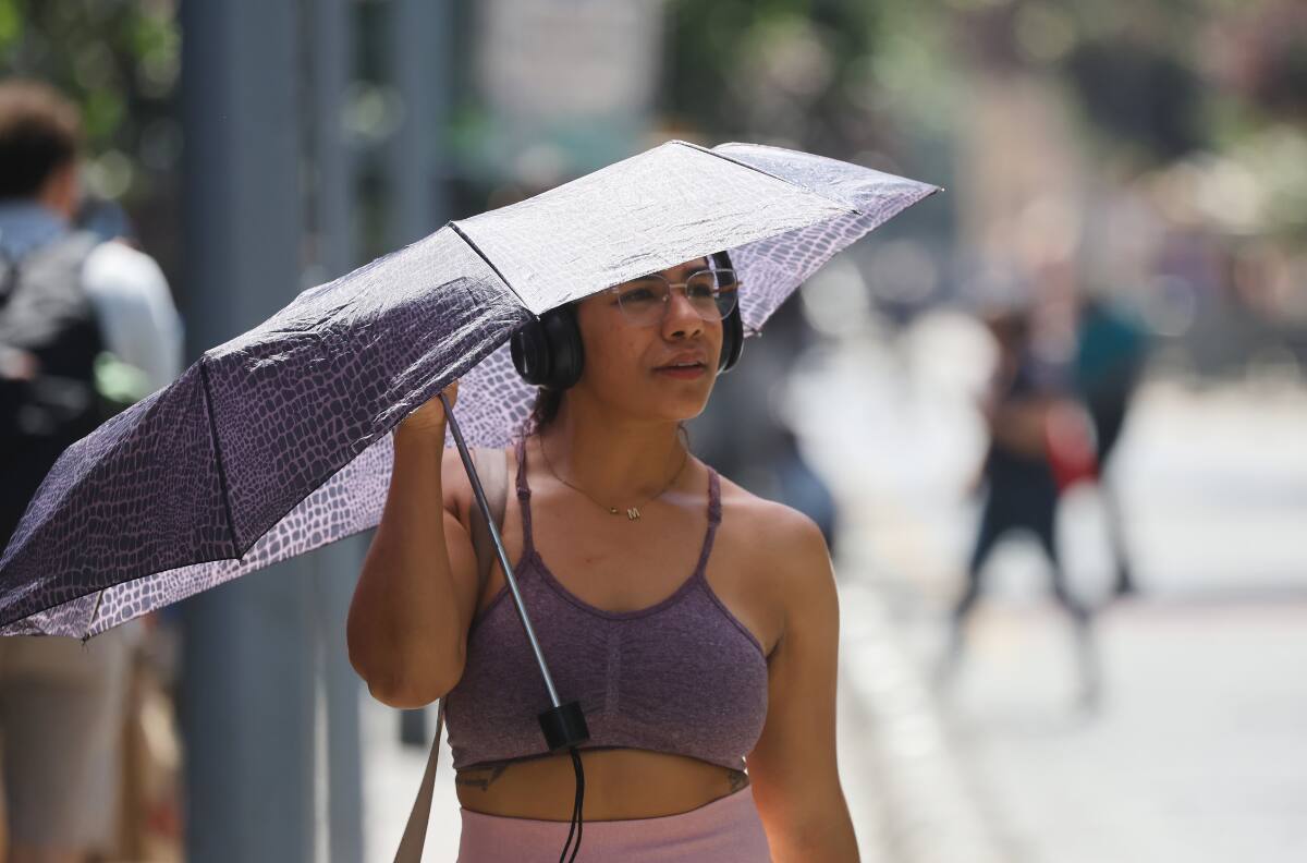 Este viernes será el día más fresco en la Región Metropolitana: Michelle Adam adelanta el pronóstico para el fin de semana
