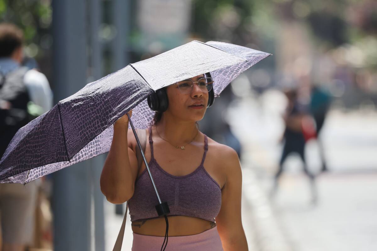 Durante la jornada, los termómetros descenderán un par de grados, antes de dar paso a un caluroso fin de semana. Créditos: Jonnathan Oyarzun/Aton Chile.