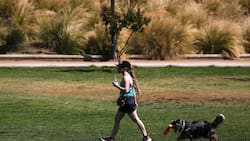 Revisa el pronóstico del tiempo para el último fin de semana del año en Santiago