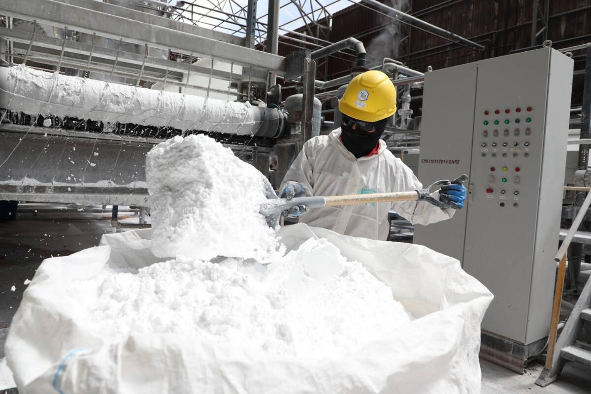 Empresa norteamericana busca desarrollar proyecto con proyección a producir por 20 años.