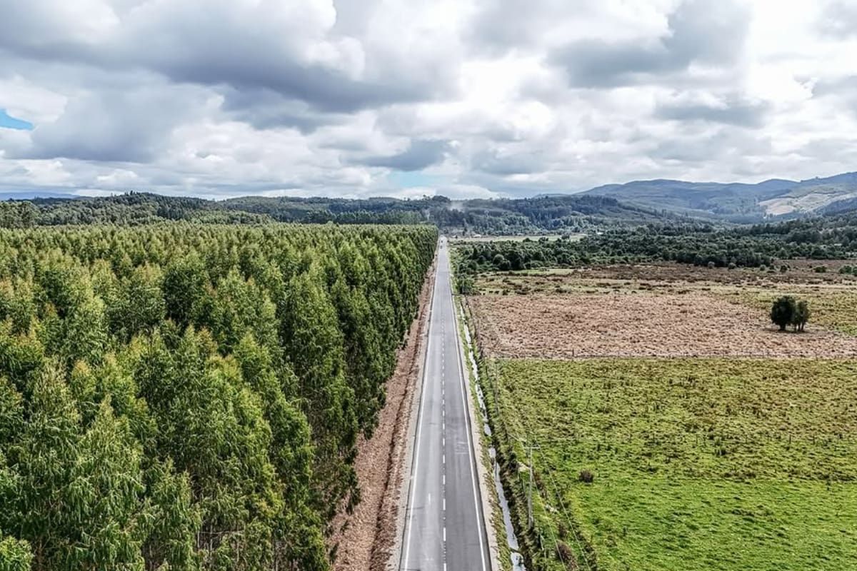 La inversión fue de $3.500 millones.