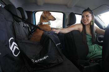 ¿Sabías que puedes probar un auto con tu mascota a bordo?