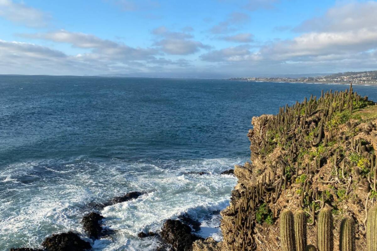 El lugar destaca por sus bellos paisajes naturales, donde el mar se fusiona con las rocas en una postal única e imperdible. Créditos: Google Maps.