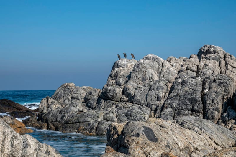 En sus alrededores, hay distintos miradores que permiten acceder a una vista panorámica imperdible del mar. Créditos: Google Maps.
