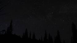 ¿Te gusta el color negro? Esto dice de tu personalidad, según la IA