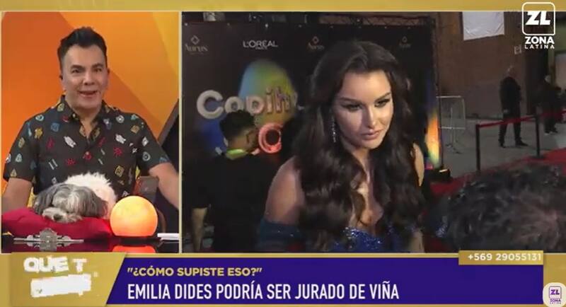 Luis Sandoval aseguró que Emilia Dides sería jurado en Viña 2025. Créditos: Pantallazo Zona Latina