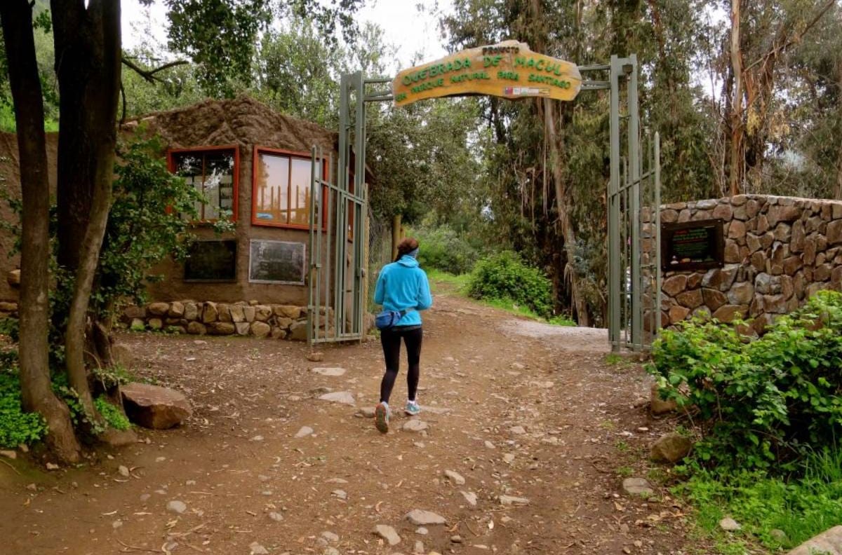 Parque Quebrada de Macul: Conoce cómo llegar y qué lugares puedes visitar