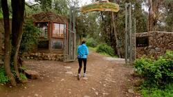 ¡A una micro de distancia!: Quebrada de Macul, cascadas y bosques en pleno Santiago