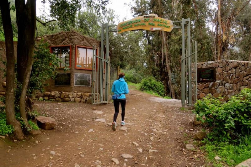 Revisa cómo llegar a la Quebrada de Macul.