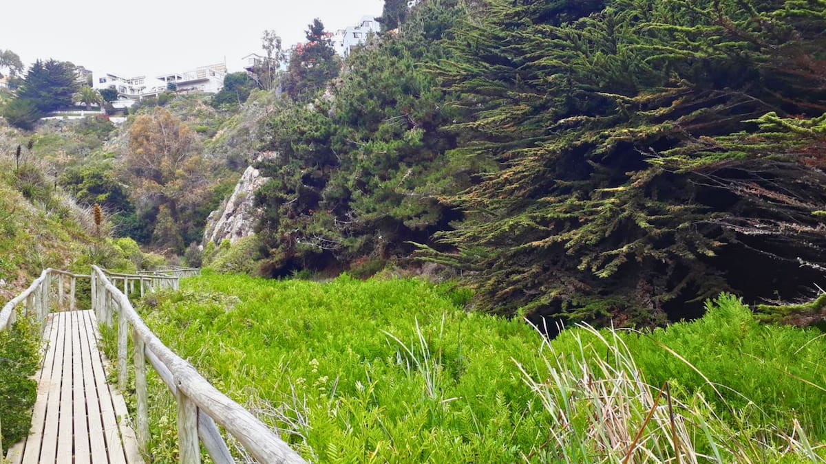 El destino a menos de dos horas de Santiago con una cueva legendaria y un humedal instagrameable