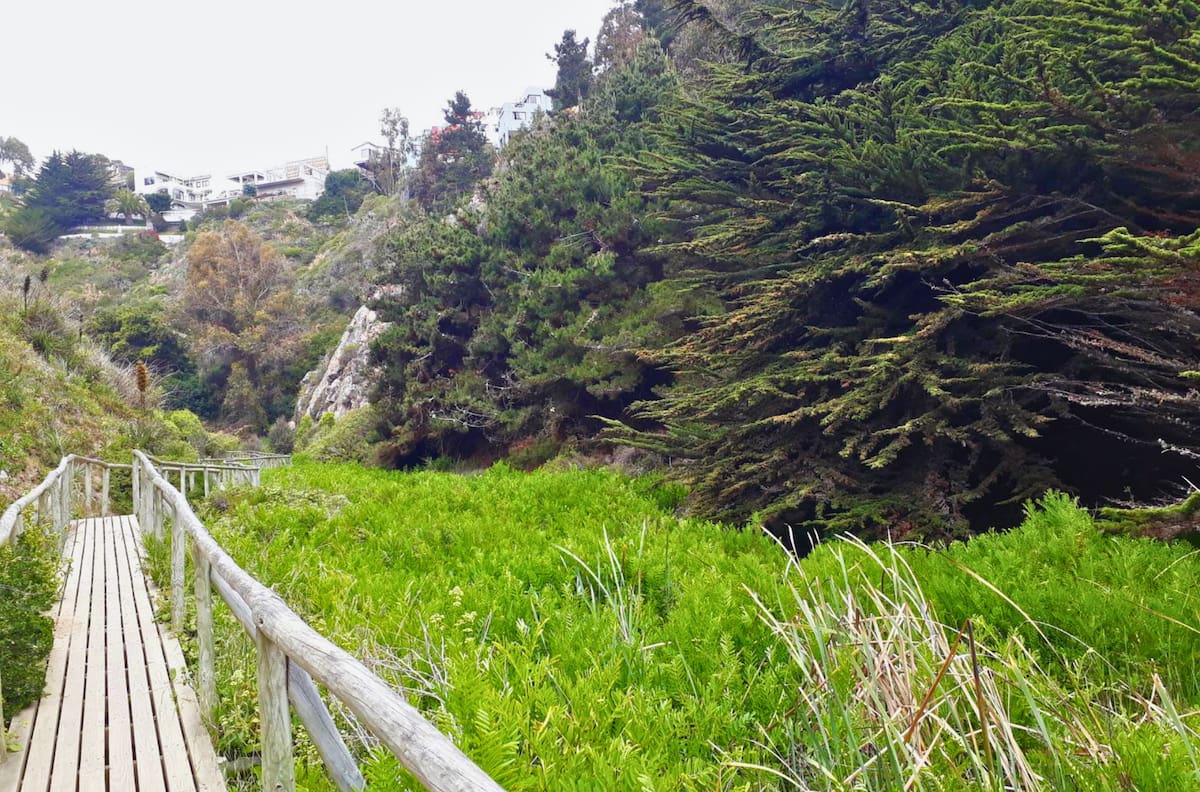 El destino a menos de dos horas de Santiago con una cueva legendaria y un humedal instagrameable