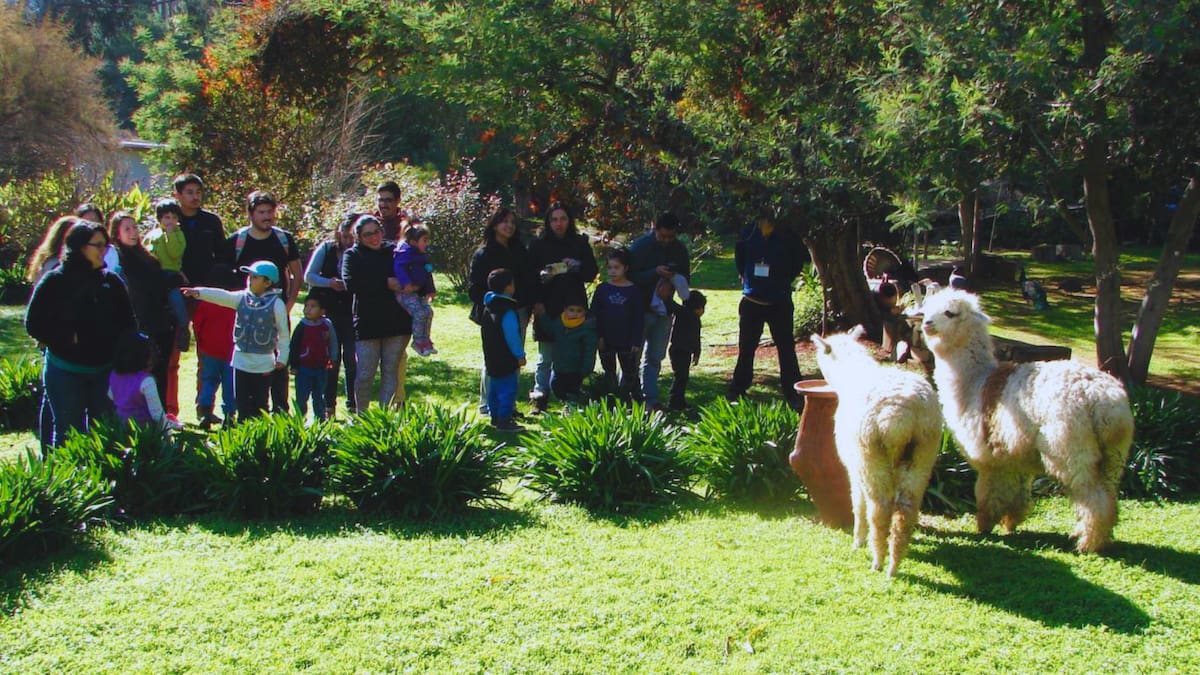 El oasis oculto a 20 minutos de Viña del Mar: campo, pavos reales y vino artesanal en plena Región de Valparaíso