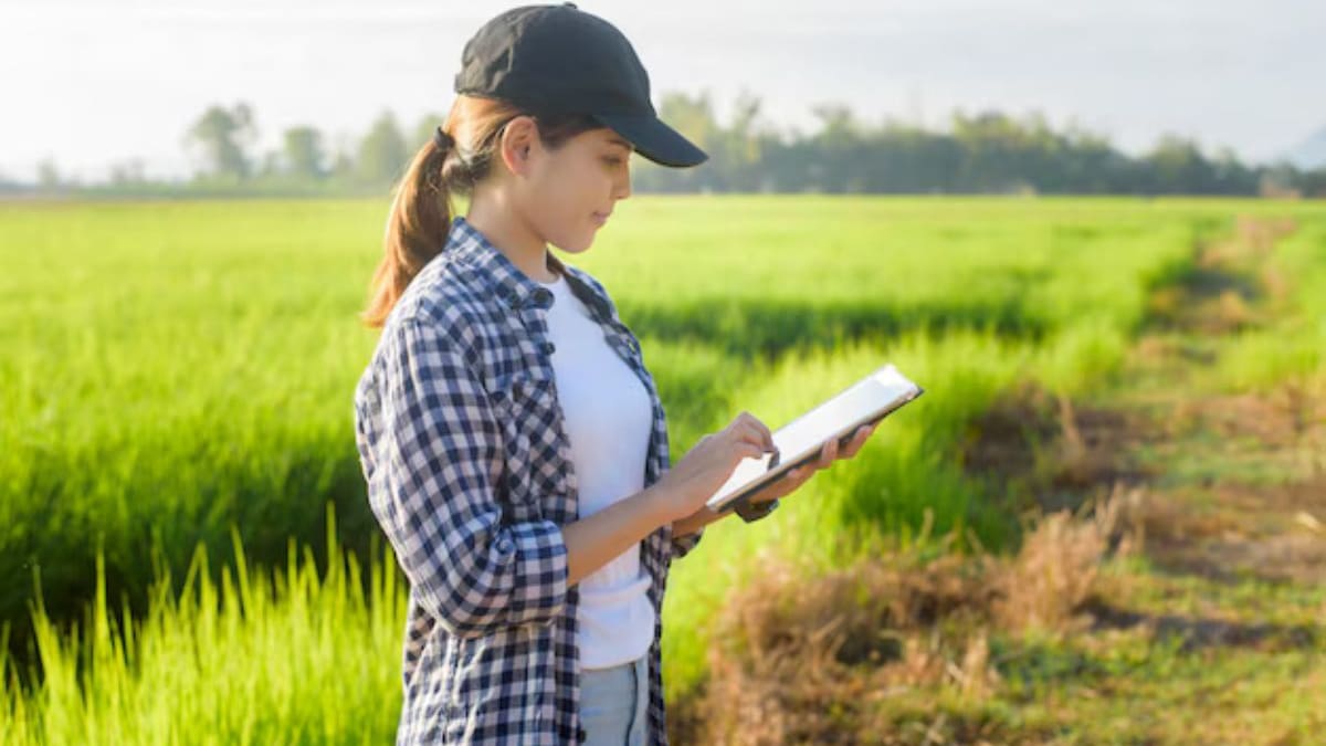 Empresa tecnológica chilena ligada a la agricultura se va a la quiebra