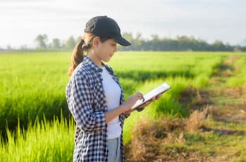 Empresa tecnológica chilena ligada a la agricultura se va a la quiebra