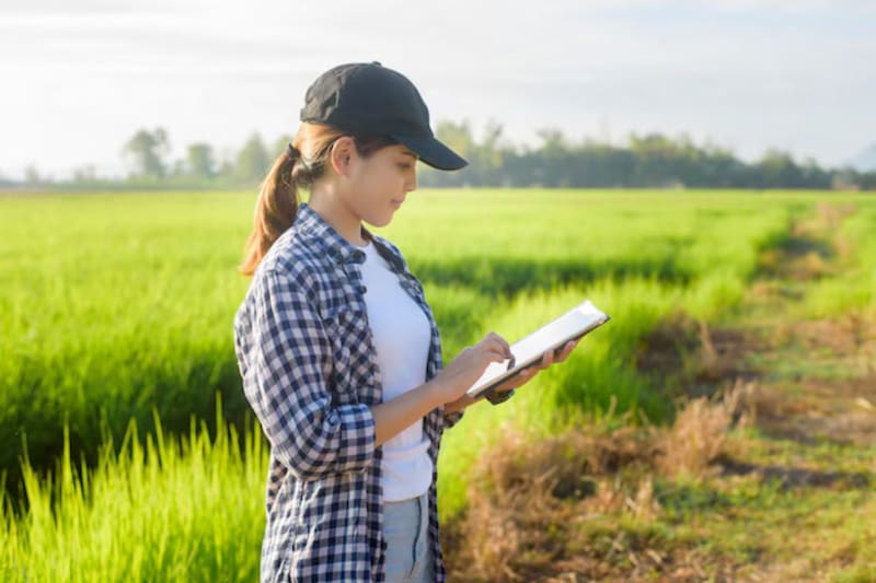 La empresa chilena se autodenominó como la primera AgTech del país.
Créditos: Unplash.