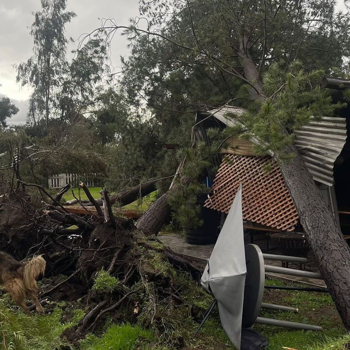 Así quedó la casa de Quique Neira tras el temporal