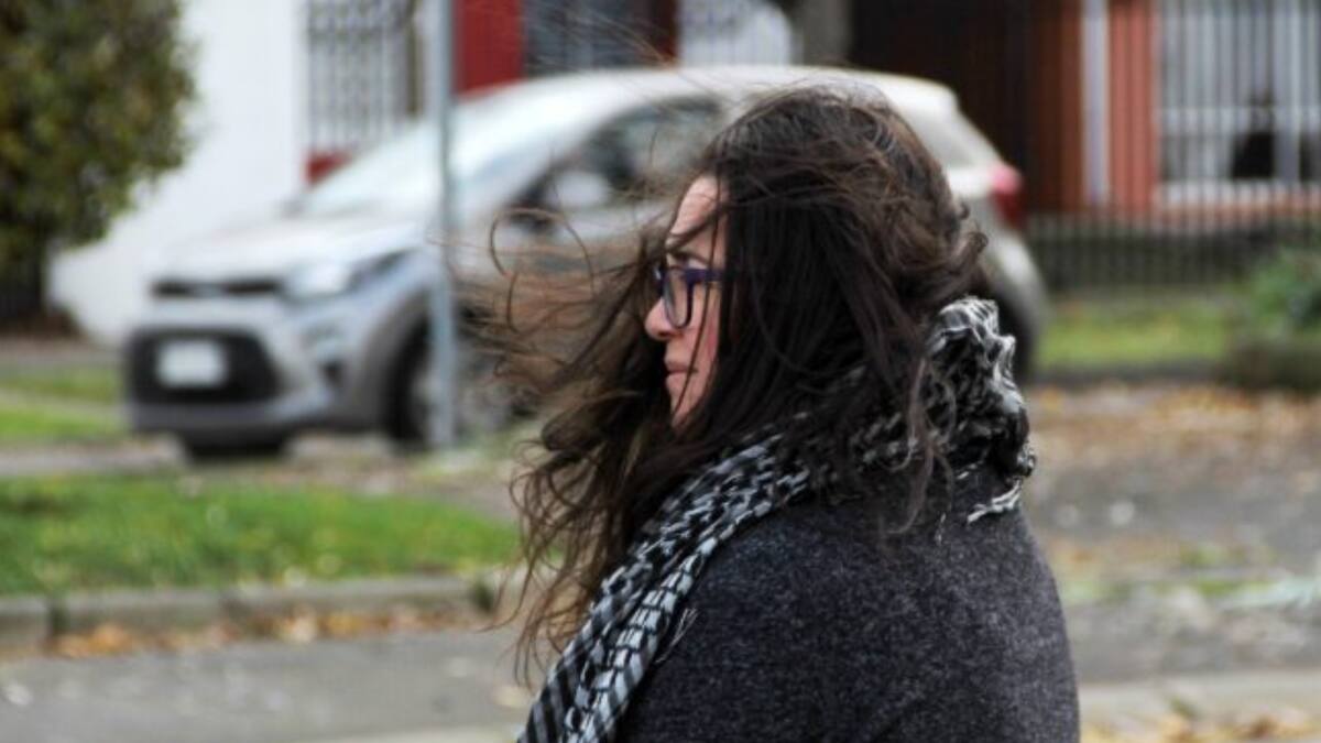 Alejandro Sepúlveda advierte por vientos de hasta 70 km/h en Valparaíso: “Podría romper ramas o provocar cortes en el suministro de energía”